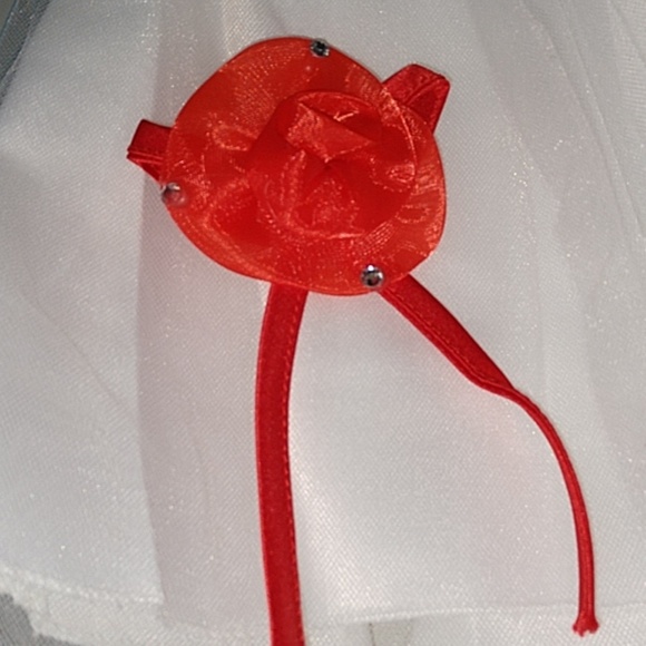 Richie House Princess Dress with Jacket NWT - Picture 7 of 8